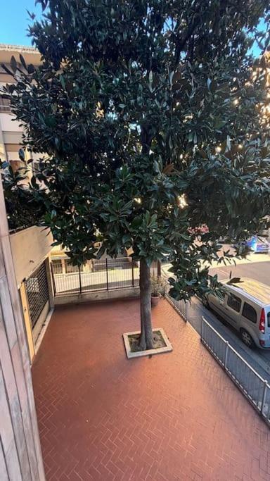 Show Me 2 Bedroom Duomo & Airport Tram Apartamento Florencia