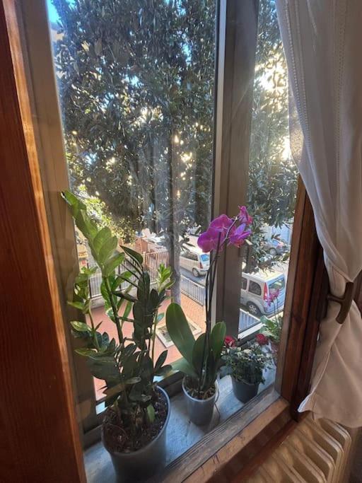 Show Me 2 Bedroom Duomo & Airport Tram Apartamento Florencia